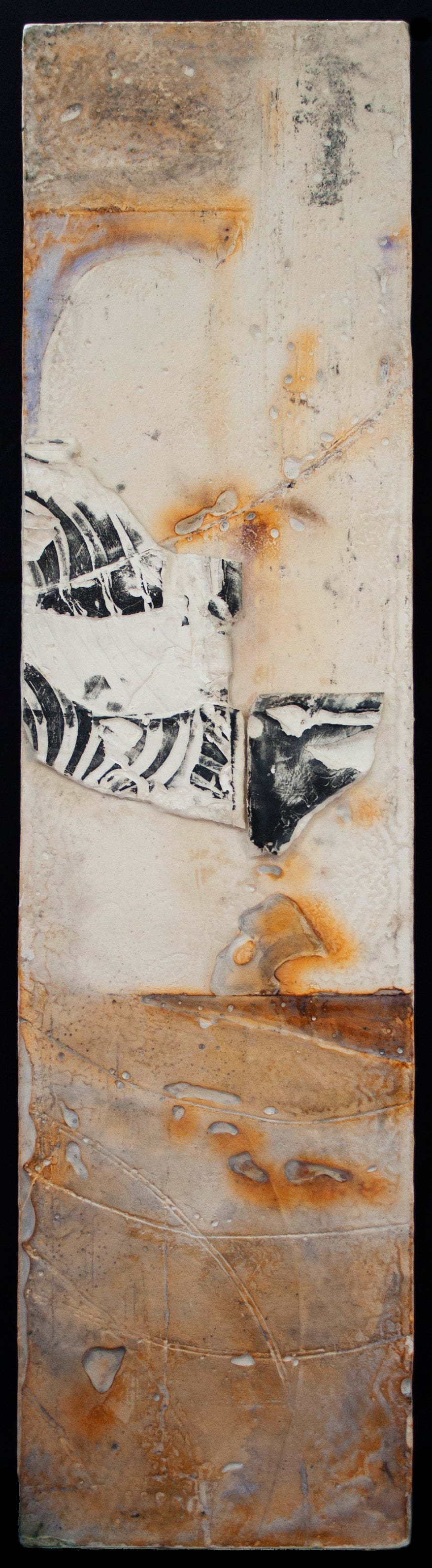 Aerial Relic, 48 x 12 x 1 "